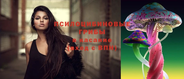 прущие крисы Алексин