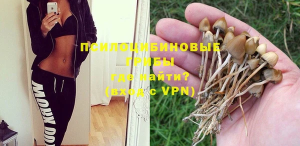 ешки Алексеевка