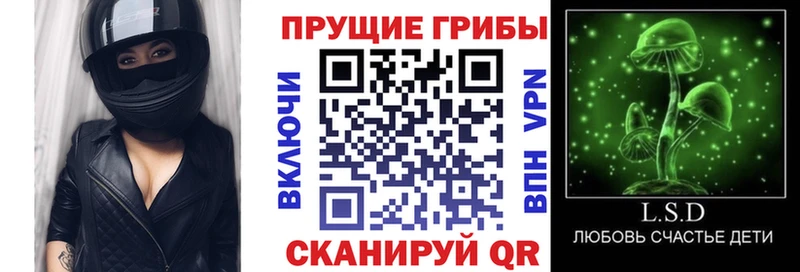 Псилоцибиновые грибы Psilocybine cubensis  закладки  кракен tor  Кольчугино 